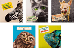Funny Photographic Multipack of 10 in 5 Designs Birthday Cards