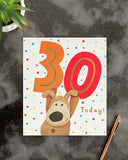Boofle 30th Birthday Card