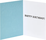 Stylish Dad Funny Birthday Card