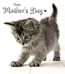 Cat Mothers Day Card