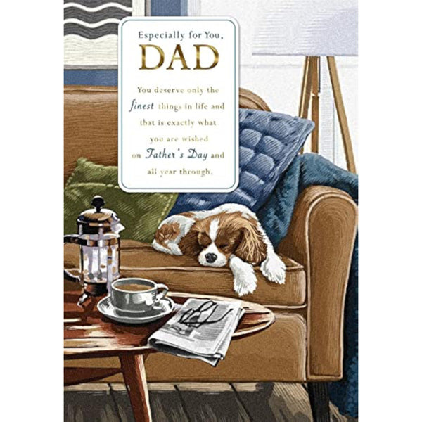 Hallmark Dad Father's Day Card - Especially for You, Dad