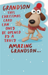 Grandson Dog