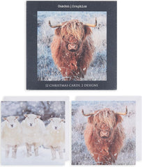 Boxed Assortments Standard-Winter Animals (812)