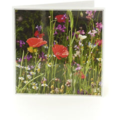 Wild Poppy Photographic Birthday Card