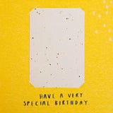 Contemporary Floral Design with Seeded Paper Insert Birthday Card