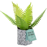 Hallmark Pop Up Card - Contemporary Fern Plant Design