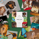 Photographic Animal Designs Multipack of 20 Blank Cards