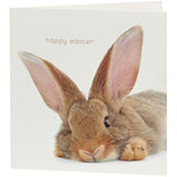 Bunny Easter Card