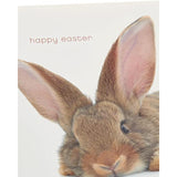 Bunny Easter Card