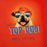 Bro Birthday Card 'Cool'