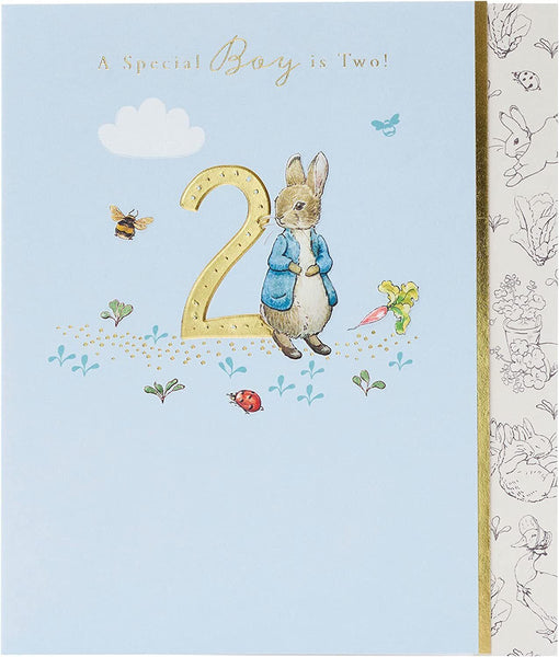 Peter Rabbit a Special Boy is Two!