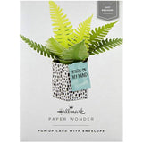 Hallmark Pop Up Card - Contemporary Fern Plant Design