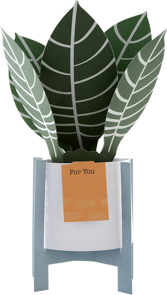 Hallmark Pop Up Card - Contemporary Zebra Plant Design