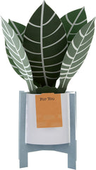 Hallmark Pop Up Card - Contemporary Zebra Plant Design