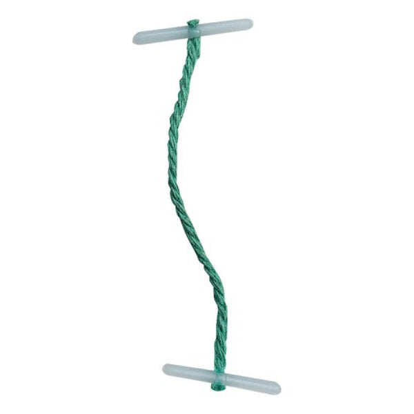 Plastic Ended 76mm Green Treasury 100 Tags
