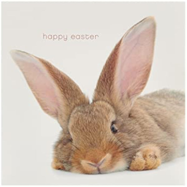Bunny Easter Card