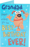 Grandad Wishing You The Best Birthday Ever Funny Birthday Greeting Card