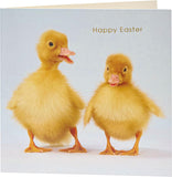 Easter Card for Him/Her/Friend with Envelope - Ducklings Design