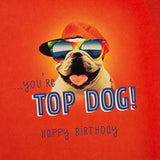 Bro Birthday Card 'Cool'
