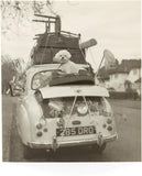 New Home with Puppy and Car Congratulations Card