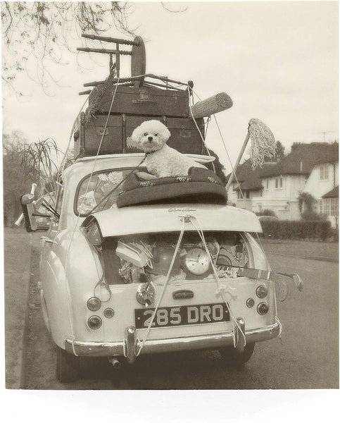 New Home with Puppy and Car Congratulations Card