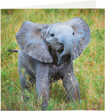 Birthday Card for Him/Her/Friend - Elephant Design