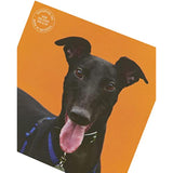Dog Design Battersea Birthday Card