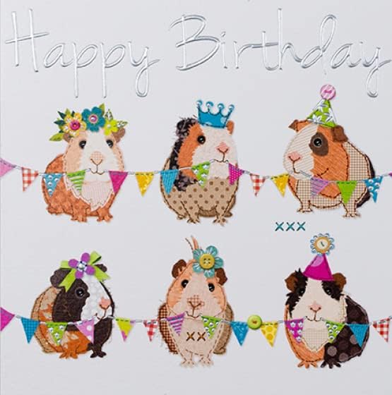 Paperlink General Female Birthday Card for Women/Girls - Guinea Pig Party with Silver Embossed Foil - Eco-Friendly & Recyclable