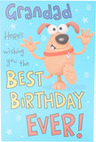 Grandad Wishing You The Best Birthday Ever Funny Birthday Greeting Card