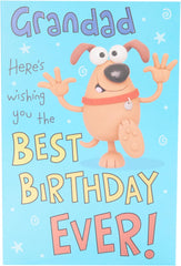 Grandad Wishing You The Best Birthday Ever Funny Birthday Greeting Card