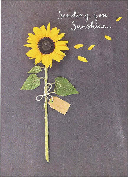 Sending You Sunshine Sunflower Design Greeting Card