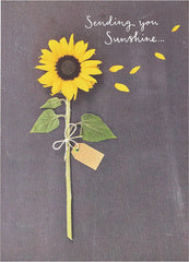 Sending You Sunshine Sunflower Design Greeting Card