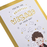 Warner Brother Harry Potter Hedwig Owl with Maze Activity Birthday Card