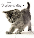 Cat Mothers Day Card