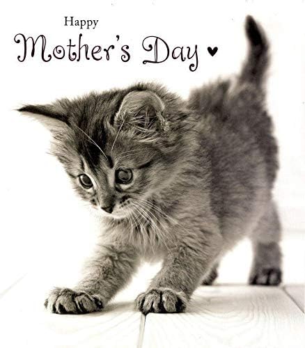 Cat Mothers Day Card