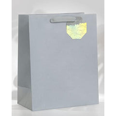 Large Gift Bag for Him/Her/Friend Silver Design