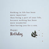 Hallmark Large Birthday Card for Son - Traditional Verse Design, Multicoloured
