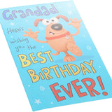 Grandad Wishing You The Best Birthday Ever Funny Birthday Greeting Card