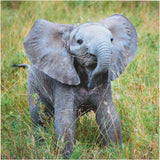 Birthday Card for Him/Her/Friend - Elephant Design