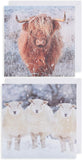 Boxed Assortments Standard-Winter Animals (812)
