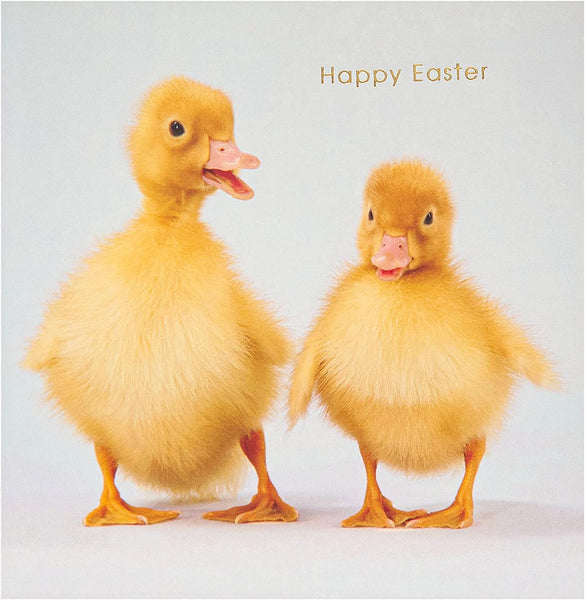 Easter Card for Him/Her/Friend with Envelope - Ducklings Design