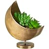Mini Celestial Moon Gold Planter
