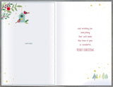 Snow Globe with Robins and Bird House Sister & Brother In Law Christmas Card