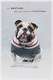 Bulldog in Christmas jumper-Brother Christmas Card