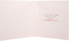 Disney Mickey Dad Birthday Card Totally Wonderful