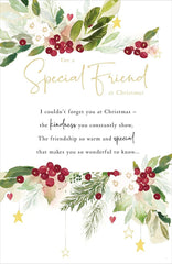 Holly & Ivy Special Friend-Holly & Ivy (50)