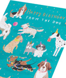 UK Greetings Birthday Card from The Dog, for Him/Her/Friend, Cute Design