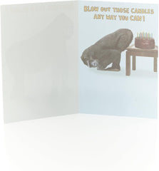 Funny Birthday Card Another Year Older
