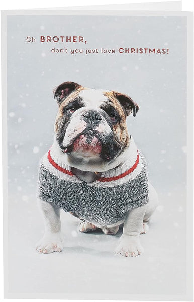 Bulldog in Christmas jumper-Brother Christmas Card