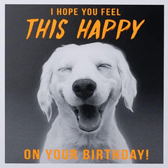 Paperlink Funny Birthday Card for Men/Boys - General Humour Male Card - Hope You Feel This Happy - Smiling Labrador Dog - Eco-Friendly & Recyclable - Made in England